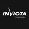 CHENET INVICTA  pour poêle à encastrer 800 CARO