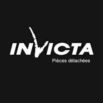 CHENET INVICTA  pour poêle encastrer DECOR VERTICAL AXEL