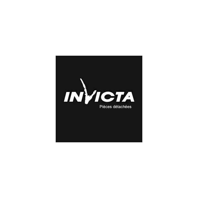 TAQUE INVICTA  pour poêle à encastrer 800 AXEL-INVICTA