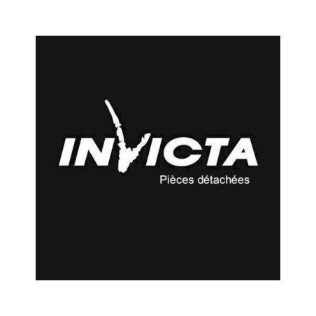 TAQUE INVICTA  pour poêle à encastrer 800 AXEL-INVICTA