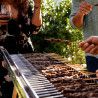 Barbecue spécial brochettes - Tecnoroast - Rotation automatique