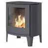 Poêle au gaz Q-Tee 2 C - Platine - 76cm - Cadre porte en acier - RAIS - Poele Plus