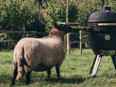 Un kamado ? Kesako ?